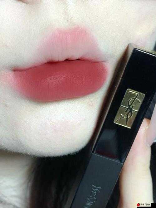 ysl 千人千色 ysl 水蜜桃 jk 时尚魅力