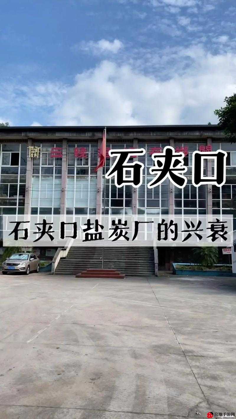 四虎之约：探寻神秘之地