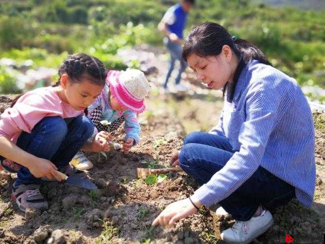 儿子耕种母亲的田地叫什么名字：一种特殊的传承