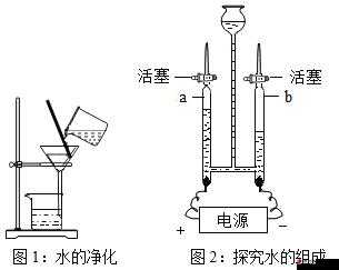 松紧和水哪个更重要：探究两者在生活中的重要性