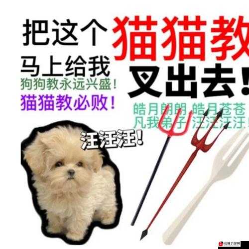 猫猫教和狗狗教是什么意思？