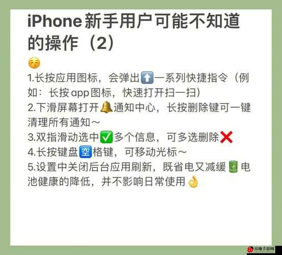 iPhone-iPad 版鼻涕猪操作入门指南（3）