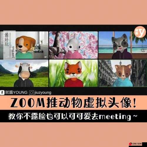 Zoom 与动物 Zoom 合作项目探索新领域